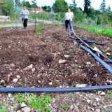 Silverio Liso e Stefania Cannone impegnati nell'irrigazione degli ortaggi della loro azienda agricola
